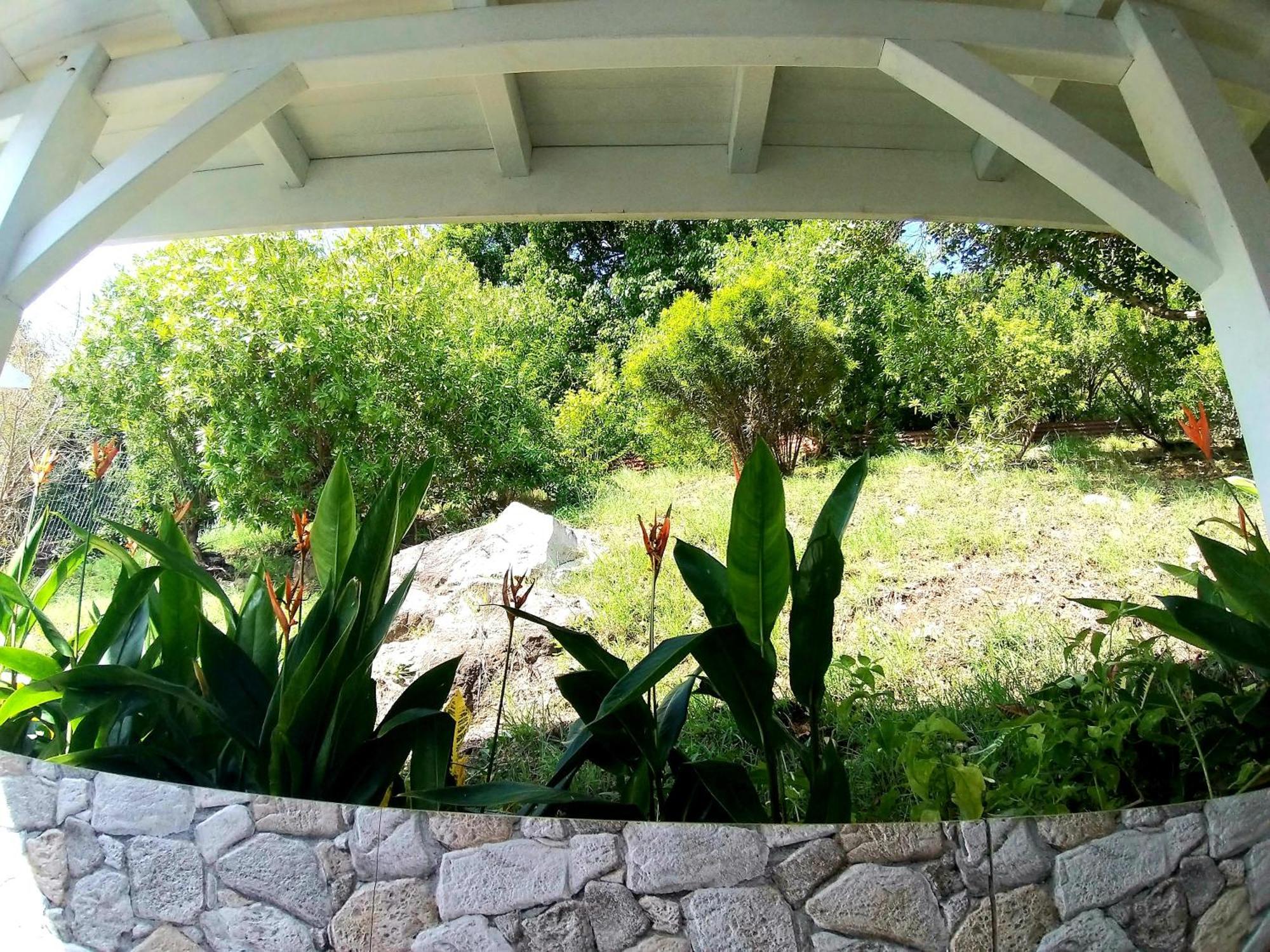 Villa Cana Et Son Spa A Terre De Haut Esterno foto
